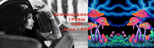 МДПВ Алексеевка