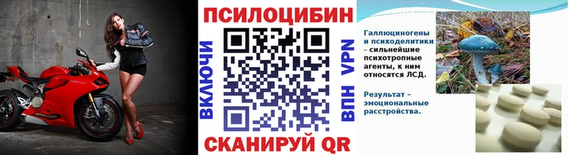 blacksprut онион  как найти наркотики  Полярные Зори  Псилоцибиновые грибы MAGIC MUSHROOMS 